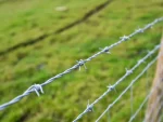 Alambre de púas de acero inoxidable 304,