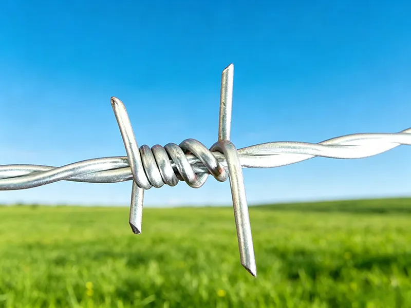 Double Twist Barbed Wire