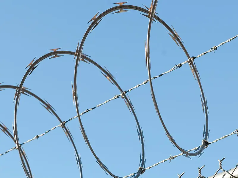 Single Coil Razor Wire