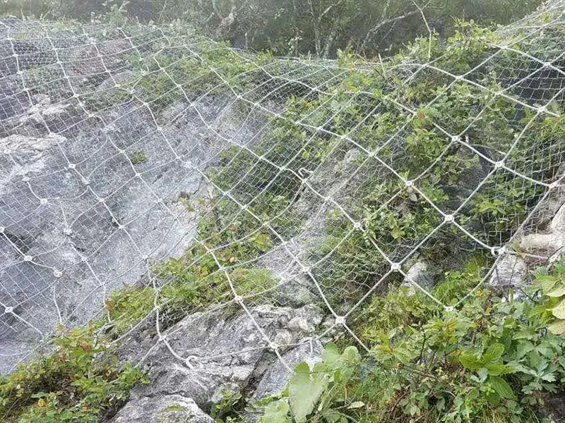 Slope Protection Mesh