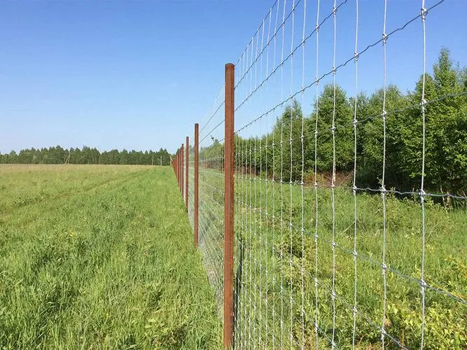 Horse Paddock Field Fence