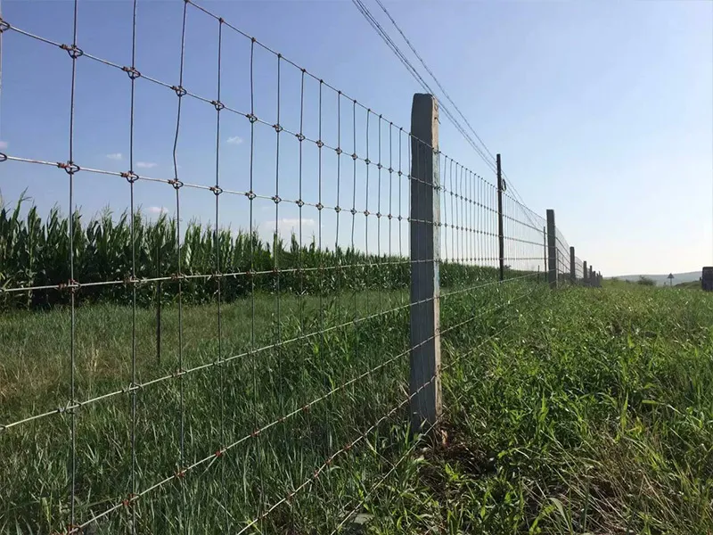 Agricultural Field Fence, 1.8m Height