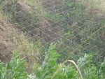 Malla de cable de acero instalada en la superficie de una ladera