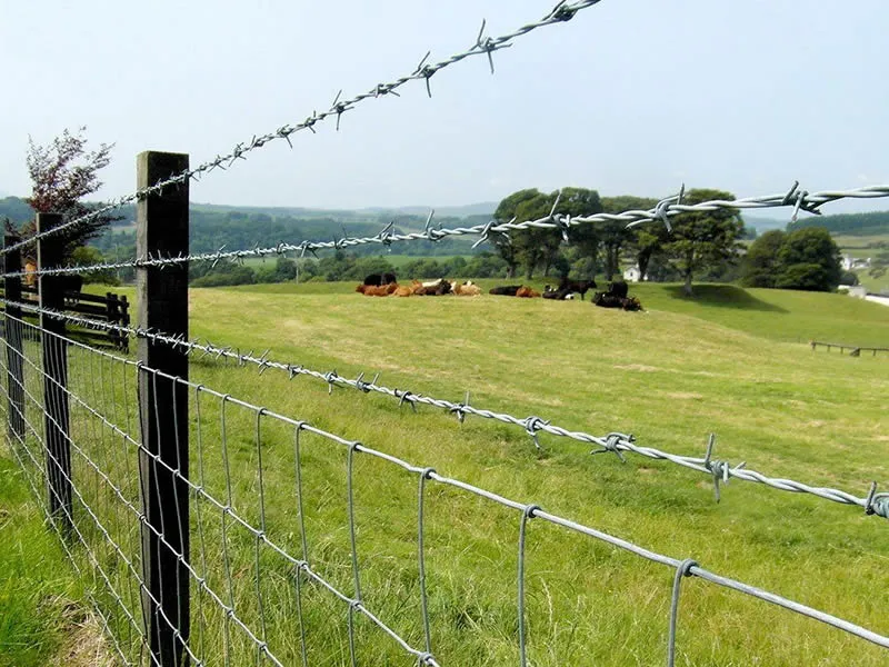Wholesale Galvanized Barbed Wire, 500m Roll For Agricultural Fencing